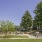 Outdoor amenity space surrounded by trees